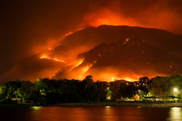Acciones Frente al cambio climático